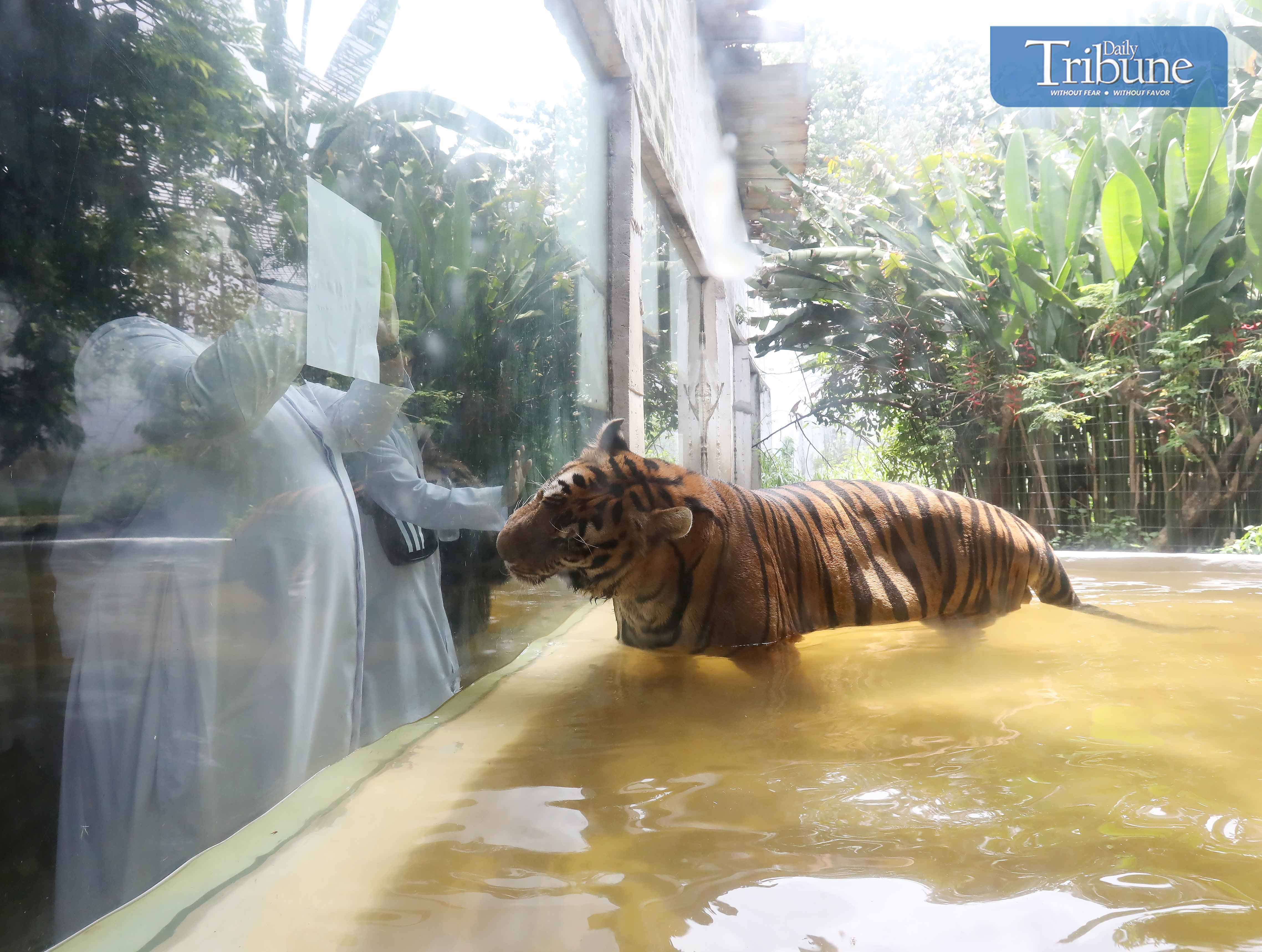 World Day of Prayer at Malabon Zoo